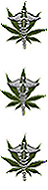 MMJ1-BIG.png